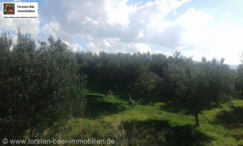 Vori Kreta, Vori Olivenhain 200.000m² mit 2 Gebäuden zu verkaufen Grundstück kaufen